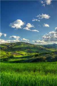 (赵清婉楚延琛小说免费阅读)最新章节列表（赵清婉楚延琛）_赵清婉楚延琛的小说免费阅读无弹窗_赵清婉楚延琛(赵清婉楚延琛)全文免费阅读无弹窗大结局