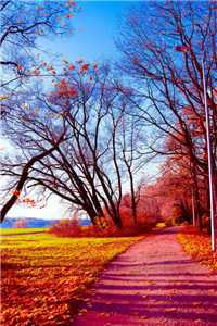 （哥哥的道歉）姜珏唐月初全文免费阅读最新章节列表（姜珏唐月初）_哥哥的道歉（姜珏唐月初）全文免费阅读无弹窗大结局_哥哥的道歉知乎