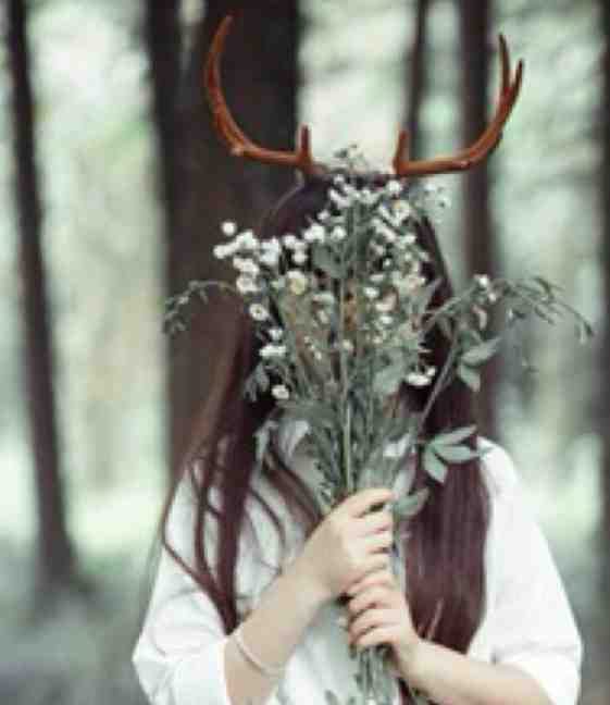 花倾月秦萧冥小说免费读无弹窗大结局_倾尽天下乱世繁华小说免费阅读_ (花倾月秦萧冥小说)花倾月秦萧冥小说免费读最新章节小说（花倾月秦萧冥小说免费读）