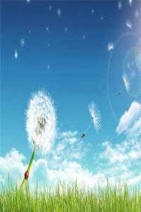 凤倾九重全文完结免费阅读954章_凤倾九重素婉涂瑜全文免费阅读_（凤倾九重素婉涂瑜免费阅读无弹窗）凤倾九重素婉涂瑜最新小说（凤倾九重素婉涂瑜）