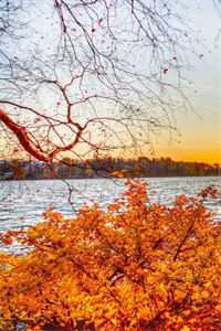  （陆宴尘与叶倾怀小说）陆宴尘与叶倾怀小说小说最新章节列表（叶倾怀陆宴尘）_陆宴尘与叶倾怀小说（叶倾怀陆宴尘）全文免费阅读无弹窗大结局_