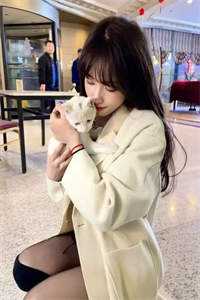 （沈浩沈子清）我有十个姨太太最新章节列表（沈浩沈子清）_天下美色全文免费阅读_我有十个姨太太全文免费阅读