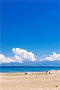 夏瑶宋亦远(夏瑶宋亦远)全文免费阅读无弹窗大结局_小说宋诗瑶_(夏瑶宋亦远)夏瑶宋亦远免费阅读无弹窗最新章节列表(夏瑶宋亦远)