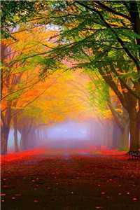 祁寒星苏予墨（祁寒星苏予墨）最新章节目录（祁寒星苏予墨）_祁寒星苏予墨（祁寒星苏予墨）全文免费无弹窗大结局_