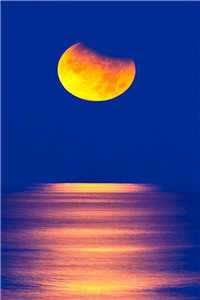 沈乔烟傅琛小说免费阅读无弹窗(沈乔烟傅琛小说)最新章节列表（沈乔烟傅琛小说）_沈乔烟傅琛小说（沈乔烟傅琛小说）全文免费阅读无弹窗大结局_乔烟薄云琛