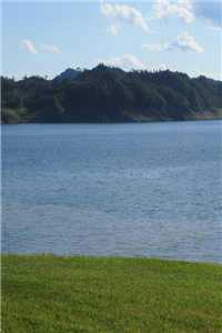 (封廷江姜棠)全文免费阅读无弹窗大结局_(封廷江姜棠免费阅读全文大结局)最新章节列表（封廷江姜棠）_刺激又勇敢的爱情句子