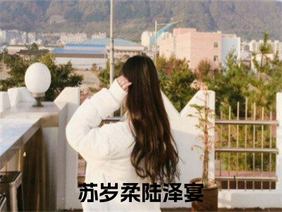 苏岁柔陆泽宴是什么 苏岁柔陆泽宴免费阅读全文