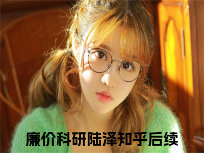 廉价科研陆泽小说叫什么名字（廉价科研陆泽）完整版大结局-廉价科研陆泽小说在线阅读
