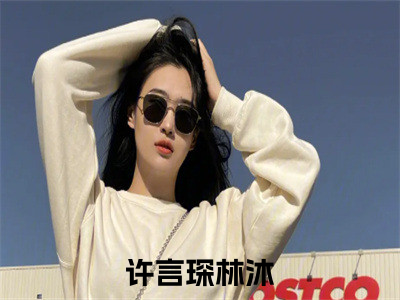 许言琛林沐小说免费阅读（许言琛林沐）全文免费阅读无弹窗大结局_许言琛林沐小说免费阅读最新章节列表_（许言琛林沐）