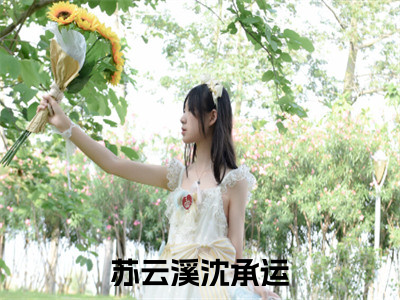 苏云溪沈承运（苏云溪沈承运）全文免费阅读无弹窗大结局-（苏云溪沈承运免费阅读全文大结局）最新章节