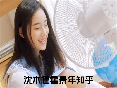 高赞小说（沈木槿霍景年）完结阅读_沈木槿霍景年全文完整版免费阅读最新章节列表