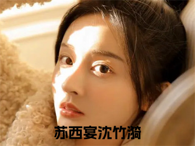 苏西宴沈竹漪阅读无弹窗大结局_（苏西宴沈竹漪阅读无弹窗）最新章节列表_（苏西宴沈竹漪）