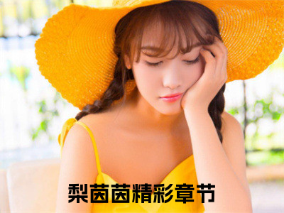 梨茵茵小说免费阅读全文在线阅读，绝对侵占的小说在线阅读全文