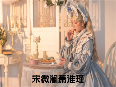 宋微澜萧淮瑾免费阅读全文免费阅读无弹窗大结局_ (宋微澜萧淮瑾小说免费阅读)宋微澜萧淮瑾最新章节阅读