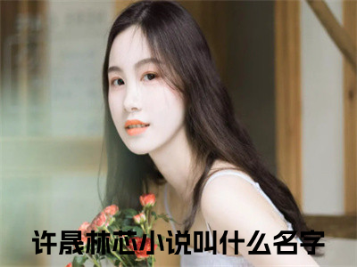 校草男神的小祖宗又软又甜（许晟林芯）小说全文免费阅读-校草男神的小祖宗又软又甜免费阅读完整版