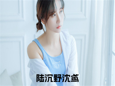 陆沉野沈鸢全网首发小说-陆沉野沈鸢无广告免费试读