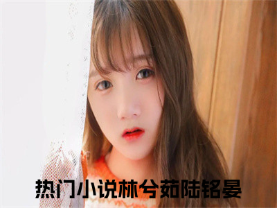 林兮茹陆铭晏全网首发最新小说主角林兮茹陆铭晏全文在线免费阅读