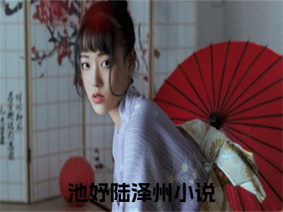 池妤陆泽州全文免费阅读无弹窗，池妤陆泽州小说最新章节列表无删减_