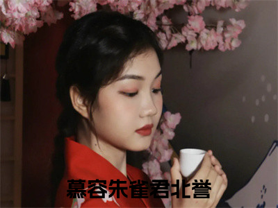 神医毒妃只想和离（慕容朱雀君北誉）小说全文免费阅读-神医毒妃只想和离（慕容朱雀君北誉）小说免费版最新更新阅读