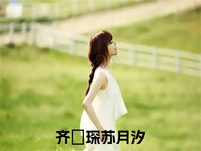齐璟琛苏月汐小说（齐璟琛苏月汐）全文免费阅读无弹窗大结局_齐璟琛苏月汐小说免费阅读无弹窗最新章节列表_