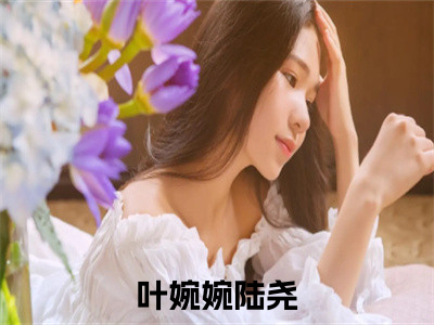 叶婉婉陆尧（大结局小说全集完整版）军婚甜蜜蜜：我在八零海岛赢麻了小说_叶婉婉陆尧全文阅读（后续）+（全文）