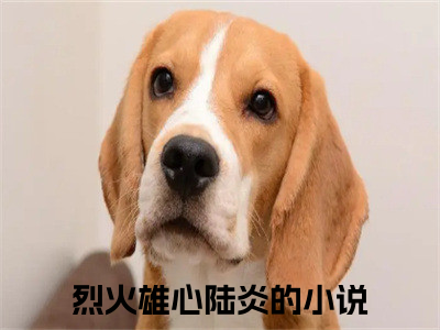 烈火雄心陆炎推荐免费新书 -烈火雄心陆炎小说阅读无弹窗