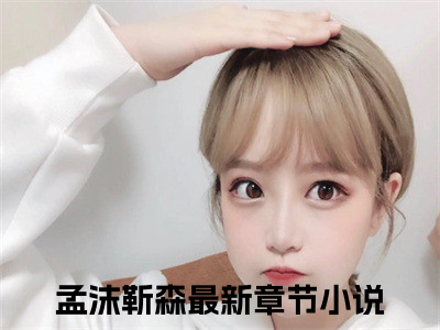 孟沫靳森的小说全文免费阅读无弹窗，主角名字是孟沫靳森的小说在线免费阅读大结局