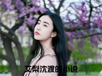 艾梨沈渡小说全文(艾梨沈渡)免费阅读全文无弹窗大结局_ 艾梨沈渡免费阅读无弹窗小说_