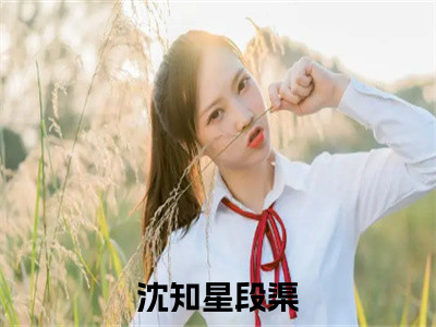 沈知星段渠（沈知星段渠）全文免费阅读无弹窗大结局_（沈知星段渠）最新章节列表