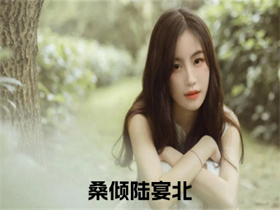 （桑倾陆宴北）全文免费阅读无弹窗大结局_（桑倾陆宴北阅读无弹窗）桑倾陆宴北最新章节列表_（桑倾陆宴北）