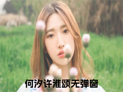 何汐许淮颂（何汐许淮颂）全集免费阅读无弹窗_(何汐许淮颂小说免费阅读)_