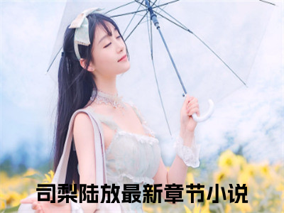 司梨陆放全文免费阅读大结局_司梨陆放已完结全集司梨陆放大结局小说