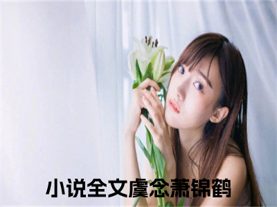 虞念萧锦鹤全文免费阅读无弹窗大结局_虞念萧锦鹤(虞念萧锦鹤最新章节在线阅读)_