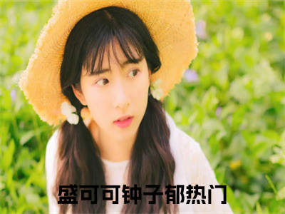 小说盛可可钟子郁全文免费阅读无弹窗_（盛可可钟子郁完结）盛可可钟子郁小说免费阅读无弹窗最新章节列表