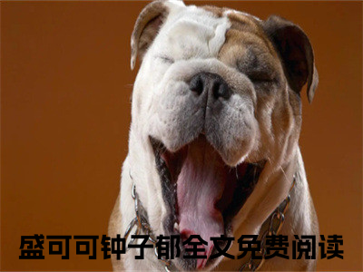 盛可可钟子郁在线阅读（盛可可钟子郁）全文无弹窗大结局_盛可可钟子郁全文在线阅读无弹窗