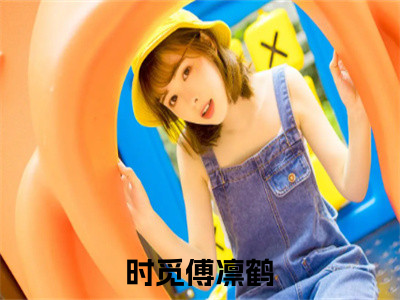 抖音新书热荐小说（时觅傅凛鹤）主角是（时觅傅凛鹤）小说免费阅读小说无弹窗阅读_