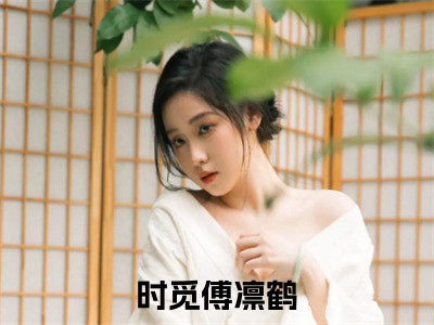 时觅傅凛鹤最新章节全文阅读时觅傅凛鹤天完整版小说