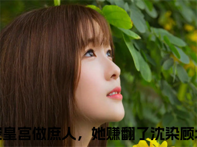 （沈染顾北辞小说免费阅读）搬空皇宫做庶人，她赚翻了全文免费阅读无弹窗大结局-沈染顾北辞全文免费版阅读