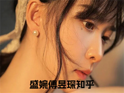 盛婉傅昱琛（盛婉傅昱琛）全文免费阅读无弹窗大结局_（盛婉傅昱琛）盛婉傅昱琛最新章节列表_（盛婉傅昱琛）