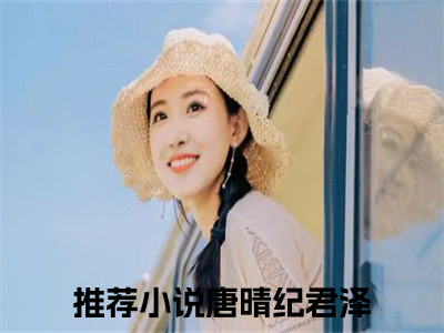 唐晴纪君泽（唐晴纪君泽）最新完结免费阅读-（唐晴纪君泽）悬疑小说在线阅读