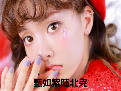 甄如絮陆北尧全文免费阅读（甄如絮陆北尧）全文免费阅读无弹窗大结局_甄如絮陆北尧全文免费阅读最新章节列表_