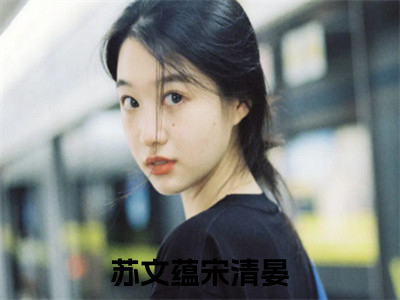 女生看的小说推荐苏文蕴宋清晏-苏文蕴宋清晏小说免费阅读