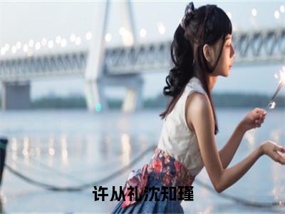 沈知瑾许从礼小说（许从礼沈知瑾）完整版小说阅读_沈知瑾许从礼全本列表免费