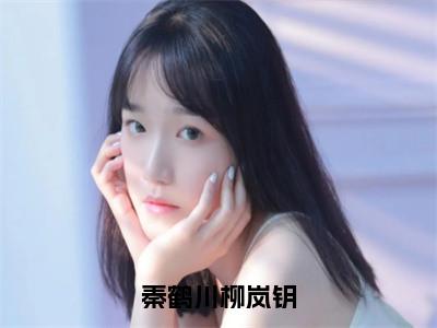 柳岚钥秦鹤川（秦鹤川柳岚钥）全文免费阅读无弹窗大结局_柳岚钥秦鹤川小说最新章节列表_