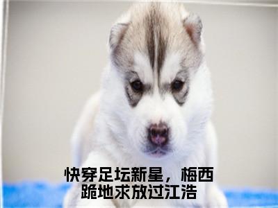 快穿足坛新星，梅西跪地求放过江浩小说（江浩齐达内）免费阅读全文无弹窗大结局_江浩齐达内免费阅读无弹窗小说_小说