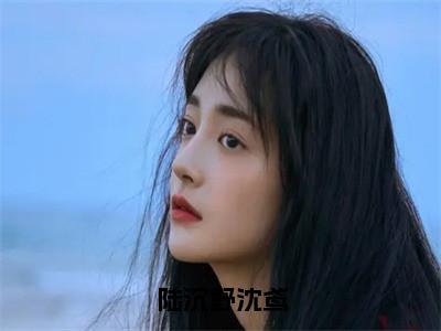 陆沉野沈鸢小说（沈鸢陆沉野）全文免费阅读大结局_（陆沉野沈鸢）沈鸢陆沉野小说免费阅读无弹窗