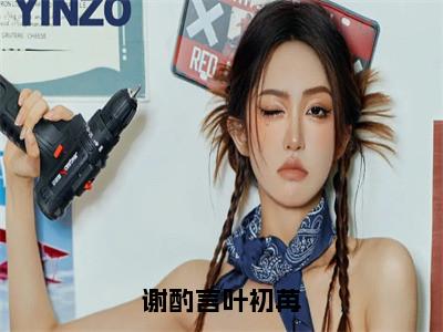 谢酌言叶初苒小说（叶初苒谢酌言）全章节完整版免费小说_谢酌言叶初苒最新章节在线阅读_