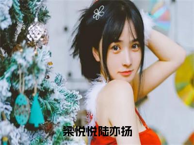 梁悦悦陆亦扬（梁悦悦陆亦扬小说）全文免费阅读无弹窗大结局_梁悦悦陆亦扬最新章节列表_（梁悦悦陆亦扬小说）