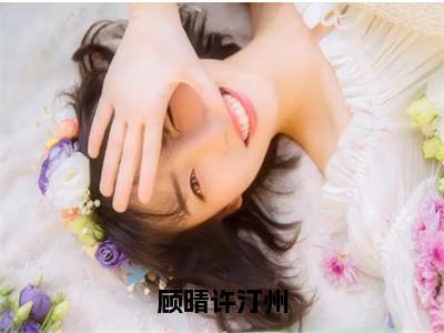 顾晴许汀州精彩章节在线阅读_许汀州顾晴免费观看（顾晴许汀州）完结版_（许汀州顾晴）