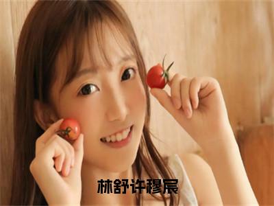 林舒许穆宸（许穆宸林舒）全文免费阅读无弹窗大结局-林舒许穆宸最新章节列表